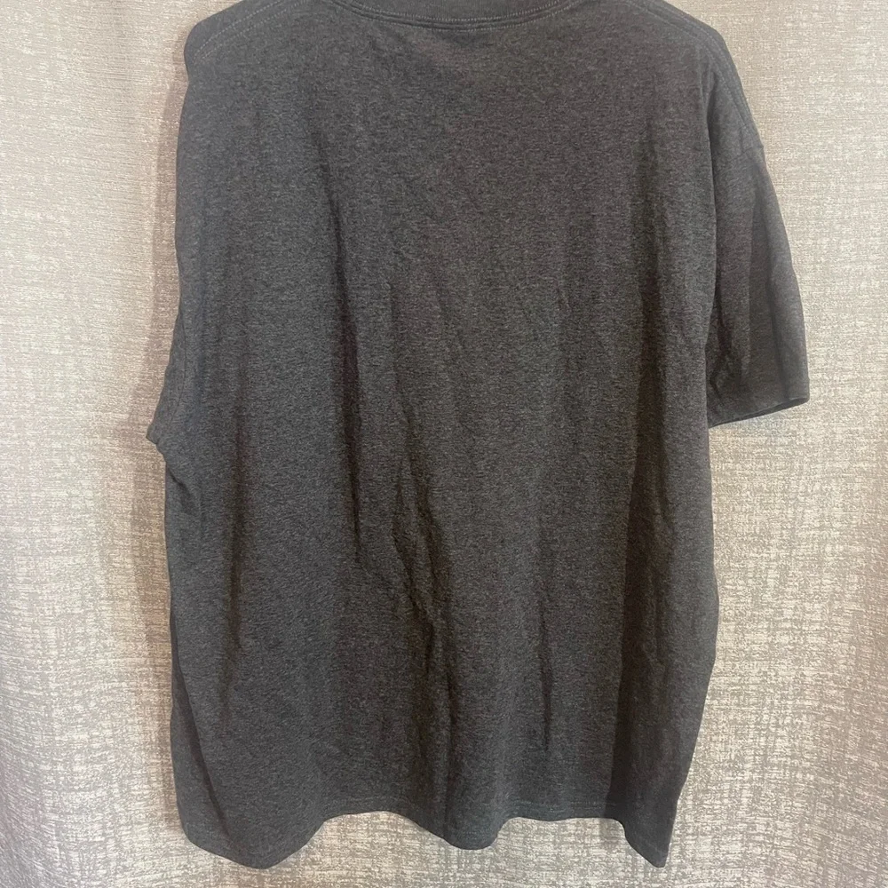 Gray Graphic T-Shirt with Animal Print - Picture 3 of 3